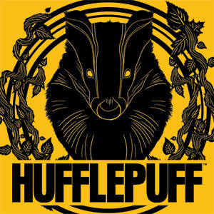 Wizarding Worlds Harry Potter Hufflepuff Illustration PS5 Controller Skin